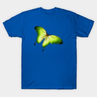 Green Butterfly Digital Painting T-Shirt